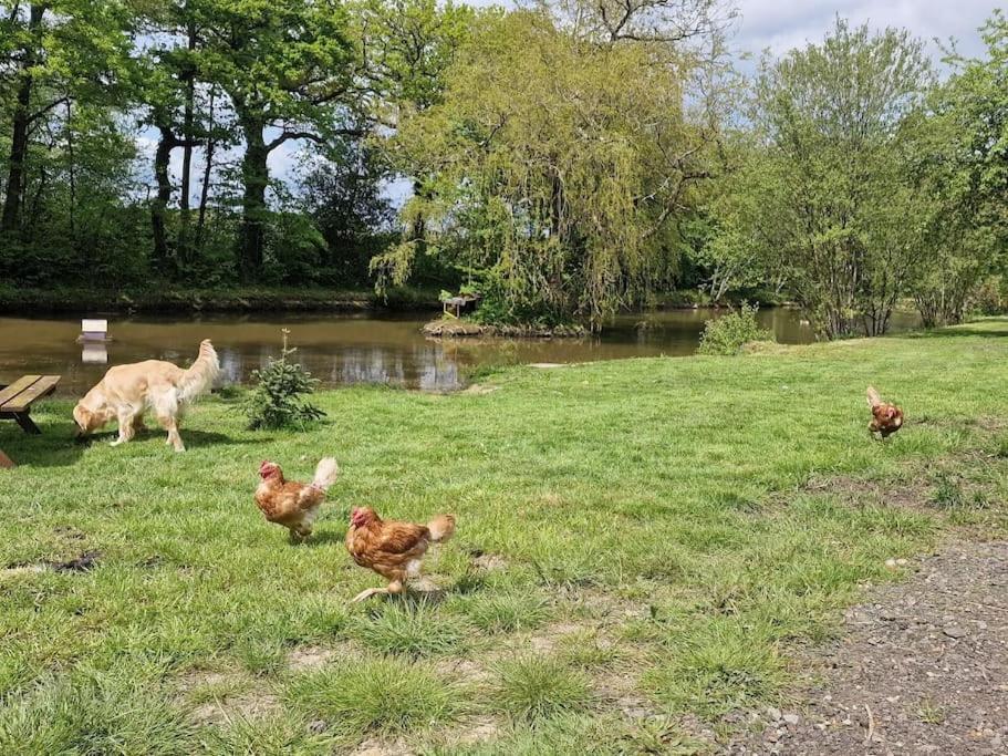 شقة Country Retreat Near Sea And South Downs, On National Cycle Network بوليغيت المظهر الخارجي الصورة
