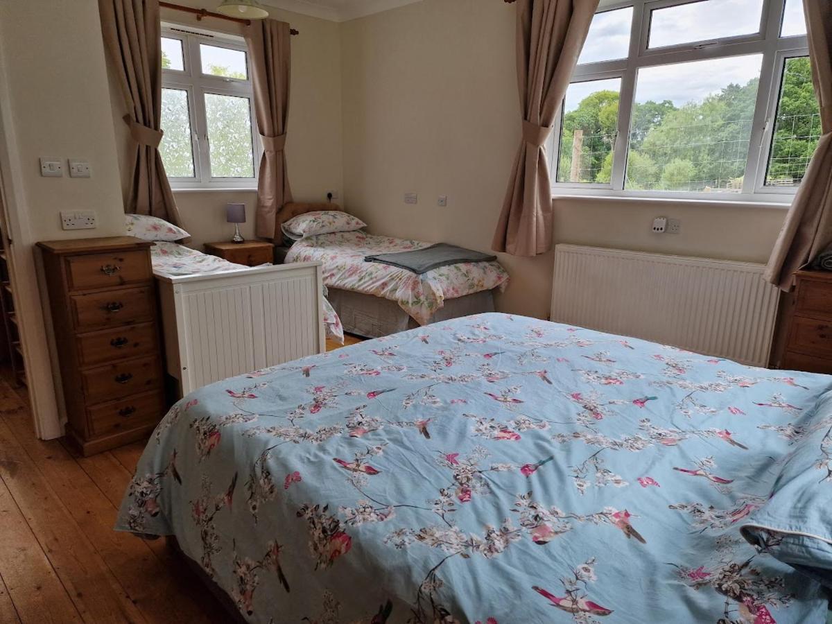 شقة Country Retreat Near Sea And South Downs, On National Cycle Network بوليغيت المظهر الخارجي الصورة